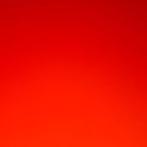 Meet your Posher, Dominic